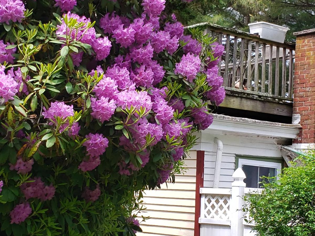 Arbor View House Bed And Breakfast East Marion Экстерьер фото