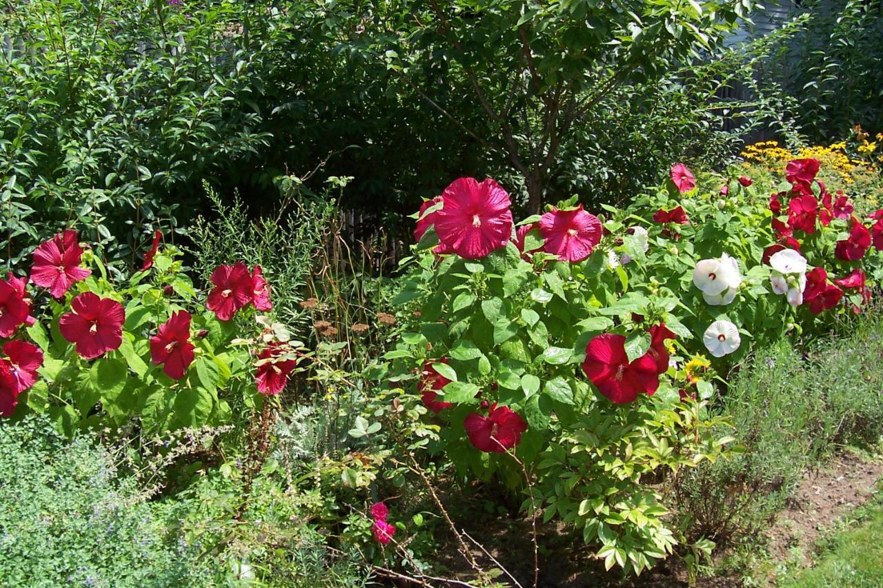 Arbor View House Bed And Breakfast East Marion Экстерьер фото