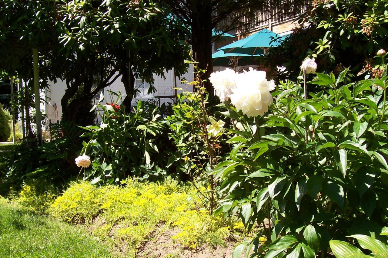 Arbor View House Bed And Breakfast East Marion Экстерьер фото