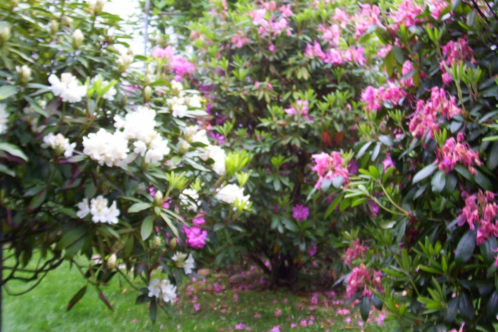 Arbor View House Bed And Breakfast East Marion Экстерьер фото