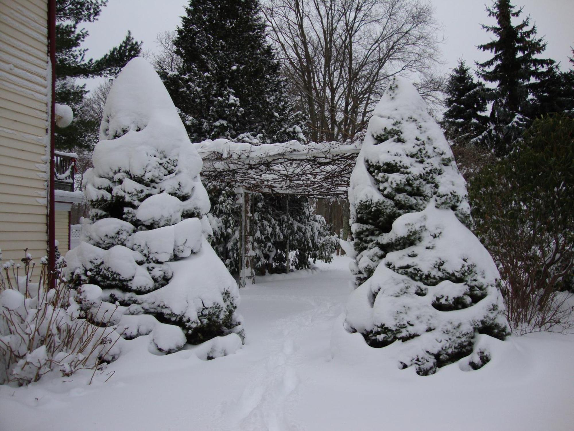 Arbor View House Bed And Breakfast East Marion Экстерьер фото