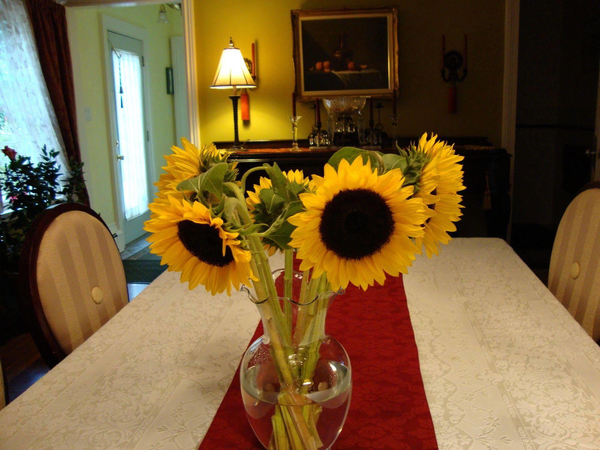 Arbor View House Bed And Breakfast East Marion Экстерьер фото